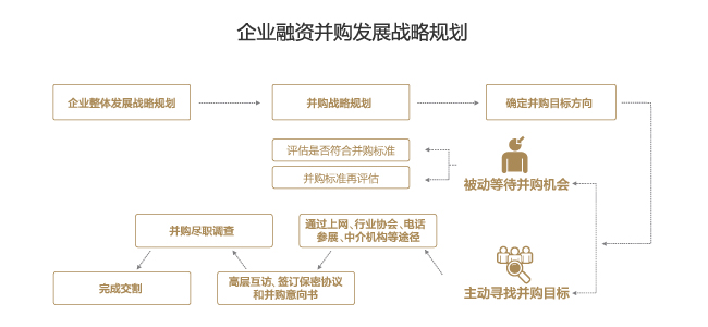 企业融资并购发展战略规划